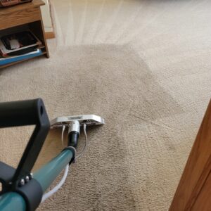 professional carpet cleaning being completed to a home in wheaton, illinois