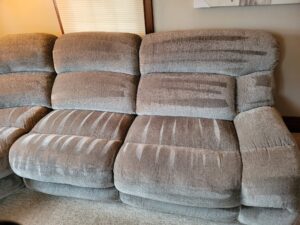 beautiful upholstered couch after getting a deep cleaning