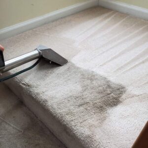 professional carpet cleaning being done to a home in south elgin illinois