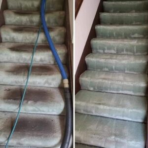 deep carpet cleaning to a home in geneva illinois