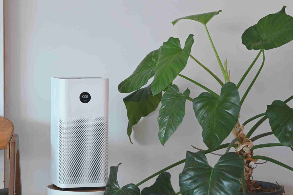 Air purifier positioned next to a vibrant green plant, showcasing a blend of technology and nature.