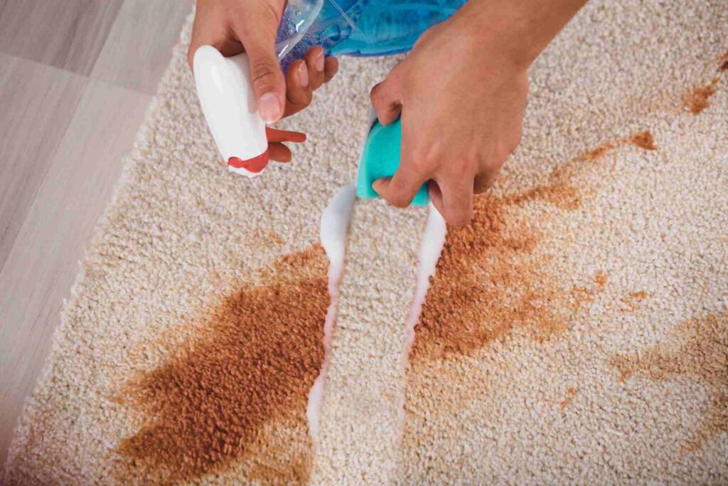 A person operates a carpet cleaner to remove stains from a carpet, ensuring a thorough cleaning process.