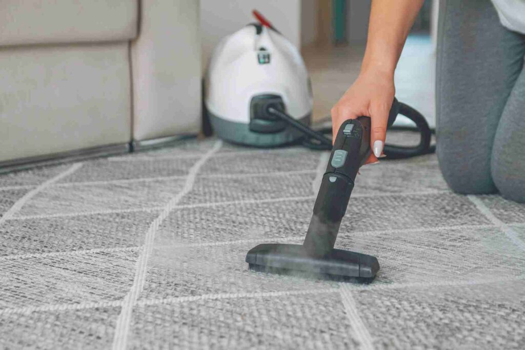 A woman operates a steam cleaner on a carpet, effectively removing dirt and stains for a fresh appearance.